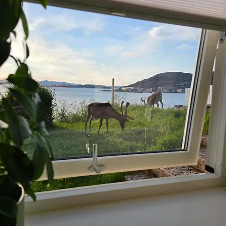 Bright And Modern With Beautiful View