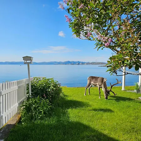 Bright And Modern With Beautiful View Apartment *
