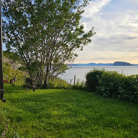 Appartamento Bright And Modern With Beautiful View