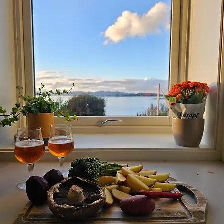 Bright And Modern With Beautiful View