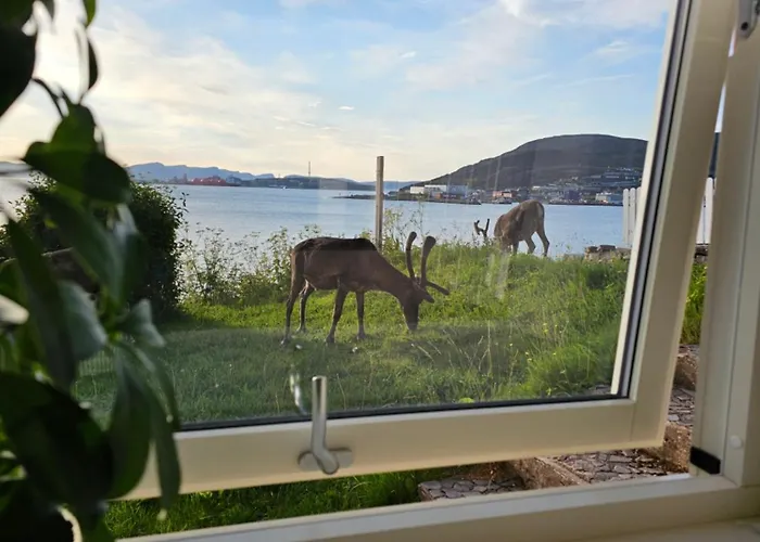 Bright And Modern With Beautiful View