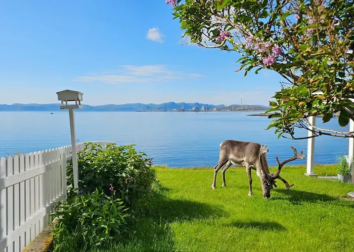 Bright And Modern With Beautiful View Appartamento *
