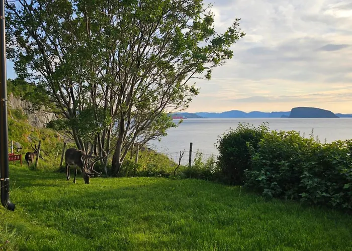 Lägenhet Bright And Modern With Beautiful View